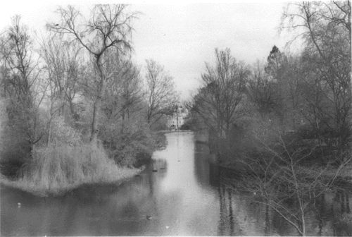 view from buckingham palace : a mysterious palace at the horizon