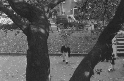 another pointer between two trees