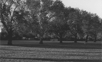 click here to enlarge