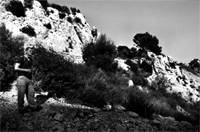 click here to enlarge