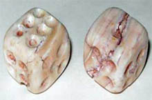 oldest dices found in Iran