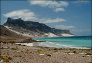 une des plages de Socotra